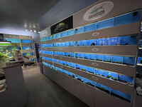AWARD WINNING AQUATICS SHOP BUSINESS FOR SALE