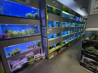 AWARD WINNING AQUATICS SHOP BUSINESS FOR SALE