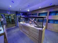 AWARD WINNING AQUATICS SHOP BUSINESS FOR SALE