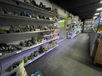 AWARD WINNING AQUATICS SHOP BUSINESS FOR SALE