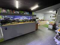 AWARD WINNING AQUATICS SHOP BUSINESS FOR SALE