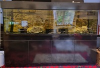 1000l ND Aquatics Ultimate Cichlid Aquarium Fish Tank And Sumps £650