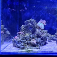 Marine aquarium