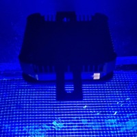 Marine aquarium