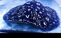 SOLD - THOUSAND ISLAND FEMALE PURE BREEDER Stingray 20”+ Pred Arowana Dat Bass Rare
