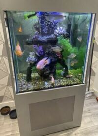 Large Marine / tropical fish tank aquarium