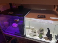 Fluval Flex 57L - £50 London