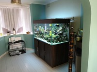 Marine Tank and livestock