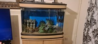 Cleair aquarium 4ft