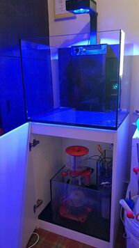 Red Sea Reefer 170 Marine Tank