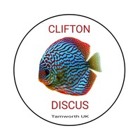 CLIFTON DISCUS = UNBEATABLE QUALITY & PRICES - Dont take our word for it, COME & SEE for yourself. Midlands Discus specialist in Tamworth, B79 0AT.