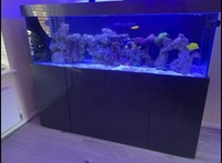 ND Aquatics 6x2x2 fish tank and stand ONLY £350