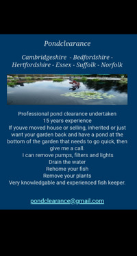 Koi rehoming fish rescue pond clearance decommissioning