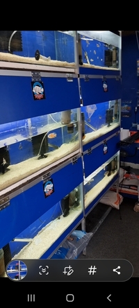 aquarium racks