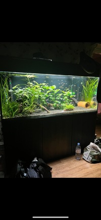 5x2x2 full tropical set up