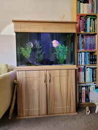 3ft Aquarium and cabinet with sump full set up NEW PRICE £175 the lot