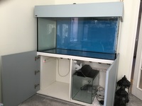 ND Aquatics 4x2x2ft tank