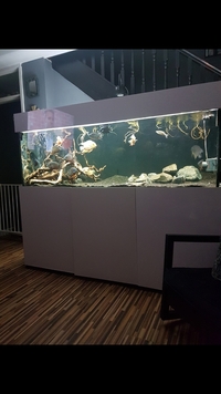 6x2 aquariums4life tank on steel stand