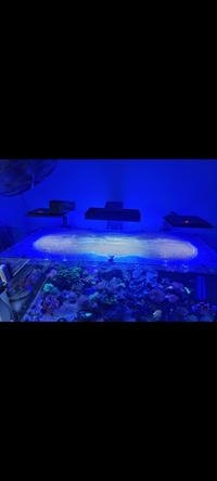 For Sale