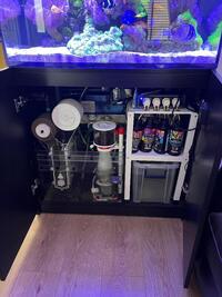 Red Sea 250 with full stock of fish and corals