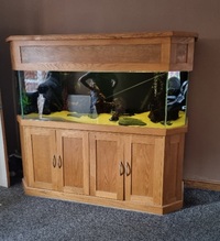 Pine 5"6 aquarium complete set up