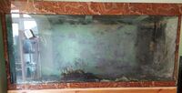 FREE LARGE AQUARIUM 1.8M X 79 X 52 CM