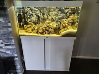 Ciano emotions 100 200 litre aquarium with fluval fx6 filter £275