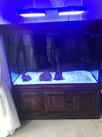 Cabinet and Tank