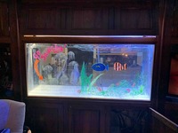 200 Gallon (900ltr) Marine fish tank including equipment