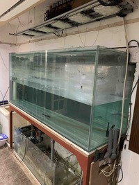 200 Gallon (900ltr) Marine fish tank including equipment