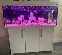 4ft aqua one tank