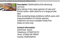 Tropical fish, predatory and carp rehoming and collection services