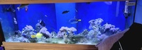 Marine tank For sale