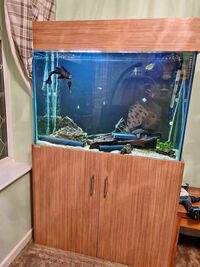 400L Tank & Stand For Sale