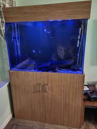 400L Tank & Stand For Sale