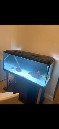4x2x2ft, 300L TANK WITH STAND - LIKE NEW