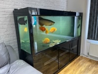 CLEAIR AQUATIC 6.5x2x26 inch aquarium