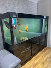 CLEAIR AQUATIC 6.5x2x26 inch aquarium