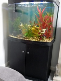 Fish tank