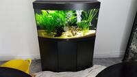 JUWEL VISION 180 LITRES TANK AND STAND - BLACK