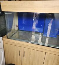 6x2x2 fishtank for sale