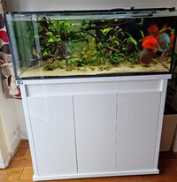 D-D reef Pro 1200 with white gloss cabinet-