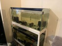 Fish tanks