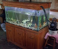 Large Fish Tank