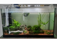 120L fish tank