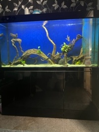 5ft Cleair aquatics tank