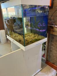 Marine Fish Tank & Equipment