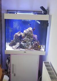 Marine Fish Tank & Equipment