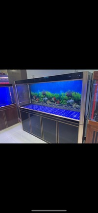 PLANET AROWANA PREMIUM AQUARIUMS - TROPICAL & MARINE TANKS