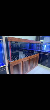 PLANET AROWANA PREMIUM AQUARIUMS - TROPICAL & MARINE TANKS